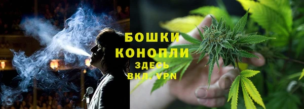 прущая мука Магас