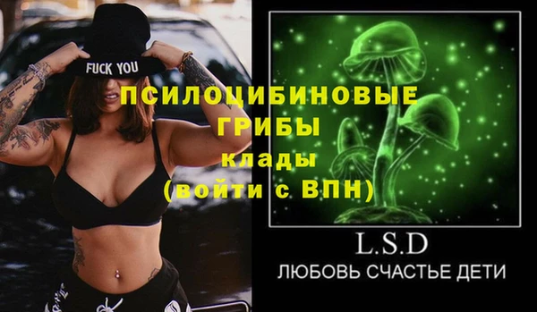 mix Сясьстрой